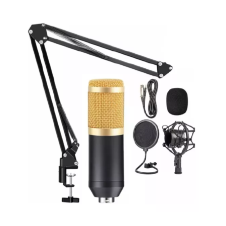 Micrófono Condensador Omnidireccional Con Brazo Ajustable Antipop Waggs Dorado