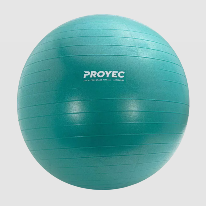 Pelota de Esferodinamia Resistent Proyec 65 cm (000218) - Vista 5