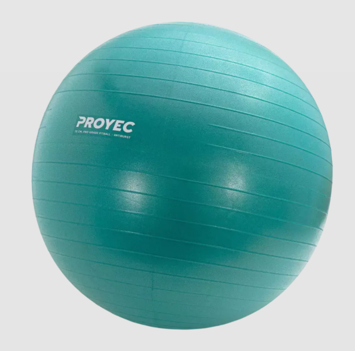 Pelota de Esferodinamia Resistent Proyec 65 cm (000218) - Vista 6
