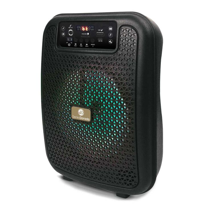 Sistema de audio multimedia - Serie Dorada - Vista 2