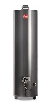 Termotanque De Pie Rheem 160l A Gas Natural 13000kcal