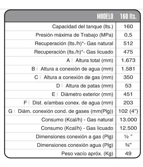 Termotanque 160 Lts A Gas Rheem Alta Potencia AP160 Color Gris - Vista 4