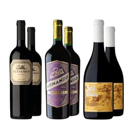 Vinos Tintos Bonarda Seleccion I x 6