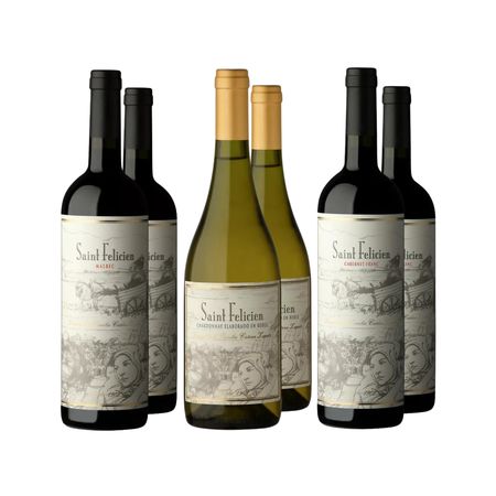 Set Vinos Combinados Saint Felicien Seleccion x 6 Con Estuche