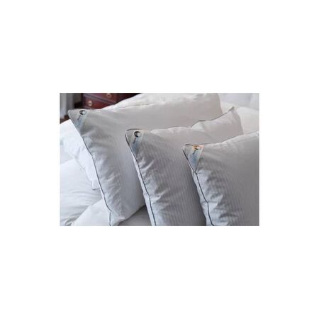 ALMOHADA PADKOVA - 50X70, PLUMA 100% DUVET (637)