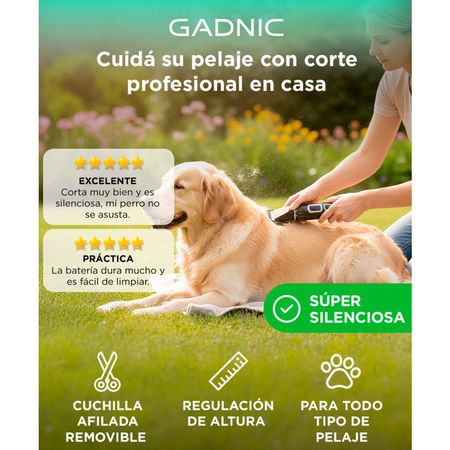 Máquina De Cortar Pelo Para Perros Gadnic S500+ Regulable Portátil Y Recargable 3.7V 5W