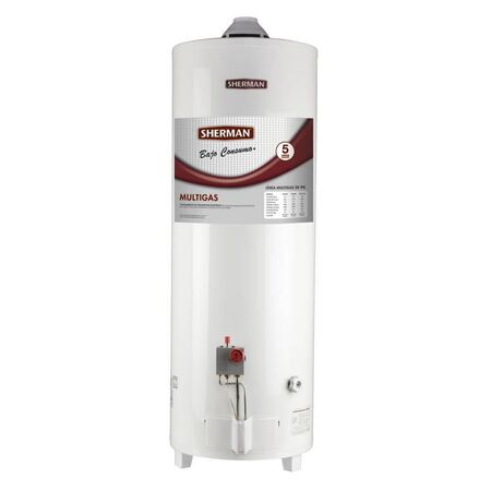 Termotanque Multigas Sherman 80lts Conexion Superior Tpgp080