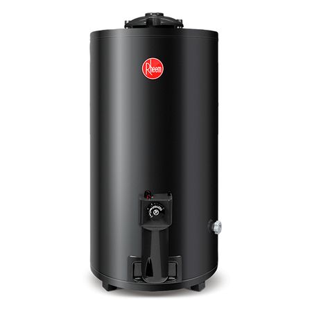 Termotanque Premium 80lts A.E.E De pie Gas natural Rheem