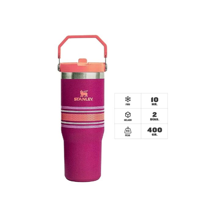 BOTELLA STANLEY 0.7L FLIP STRAW (C:FUSCHIA MESH ICEFLOW BOTTLE) - Vista 2