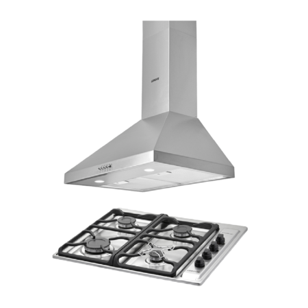 Combo113 Longvie Campana CTR260X + Anafe a gas A6600xf