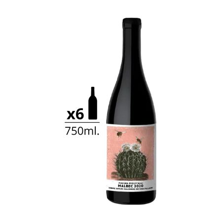 Vino Tinto Riccitelli Gualtallary Malbec Caja x 6