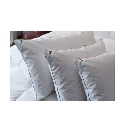 ALMOHADA PADKOVA - 50X90, PLUMA 100% DUVET (639)