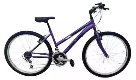 Bicicleta Firebird mtb R24 Violeta