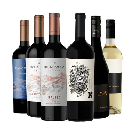 Vinos Doña Paula y Mosquita Muerta Seleccion x 6