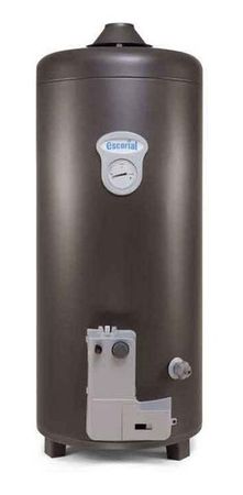 Termotanque a Gas Escorial 80 Lt Geiser Conexión Superior