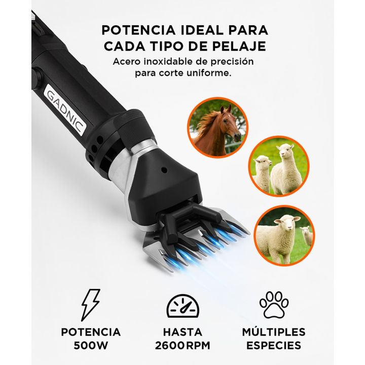Esquiladora Gadnic S900 Dual Para Animales 500W + Cuchilla Adicional - Vista 4