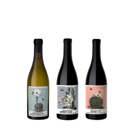 Vinos Combinados Riccitelli Gualtallary Seleccion x 3