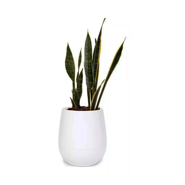 Maceta Autorriego Uovo Mediana Beruplast Blanco 42cm - Vista 2