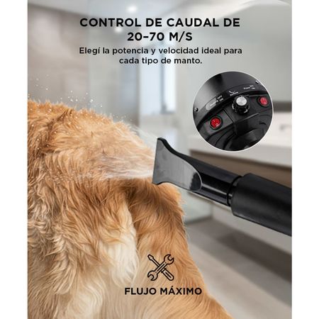 Secador de Pelo Profesional Para Perros Gadnic PD2000 2000W