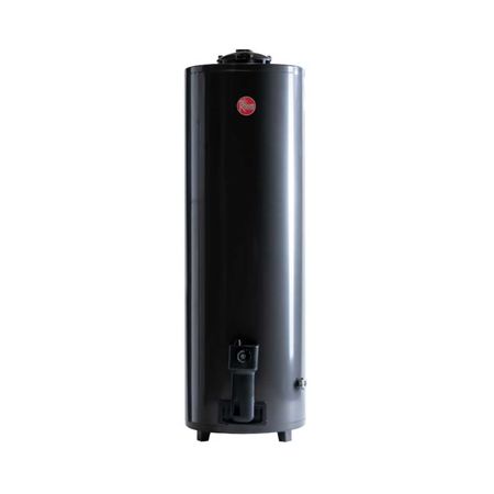 Termotanque Rheem Tgnp150 150l Gas Natural Conexión Superior