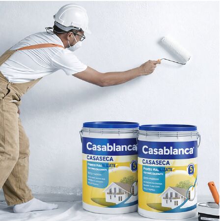 Casaseca Frentes Impermeabilizante  25 Kg