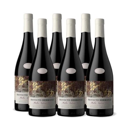 Caja x6- Proyecto Hermanas Malbec - Cab Franc