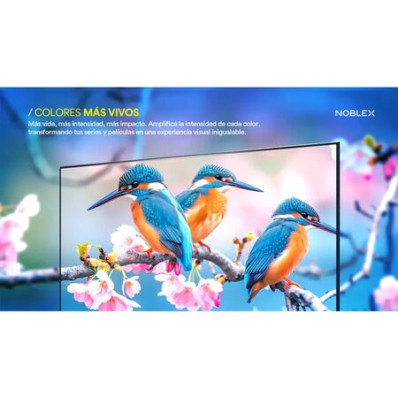 Smart Tv Noblex 43" Full HD Android Tv HDMI USB HDR DR43X7180