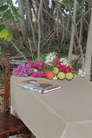 Mantel Antimancha Impermeable Español 1,60 x 3 mts Rollo Tela Liso