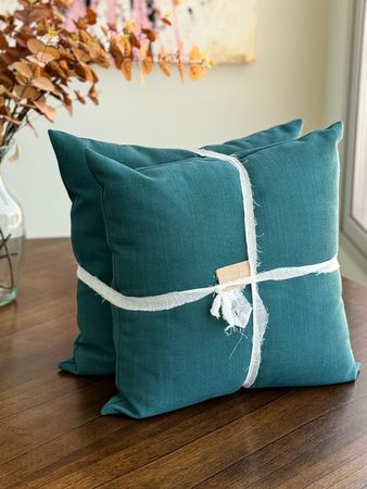  Almohadones Decorativos Set x2