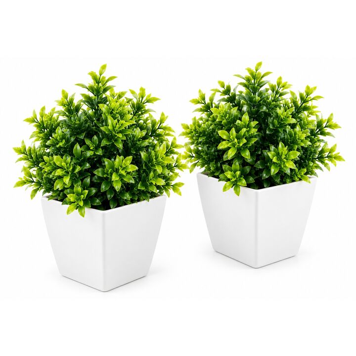 Set de 2 plantas artificiales con maceta 15CM - Vista 1