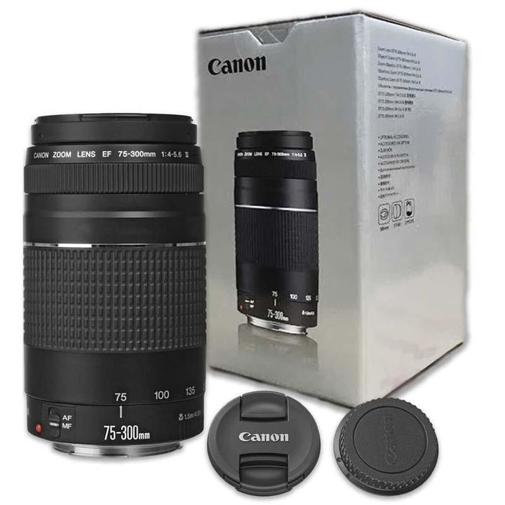 CANON OBJETIVO EF 75-300 F:4-5.6 - Vista 2