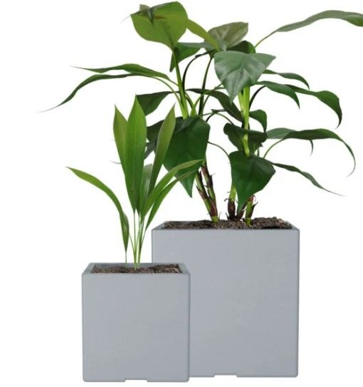 Set x2 Macetas Rotomoldeo Cubo 30/40 - Vista 3