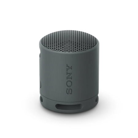 Parlante Bluetooth Sony SRS-XB100 Negro