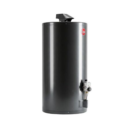 Termotanque a Gas Natural Rheem 80 Litros de Colgar TGNC080RH