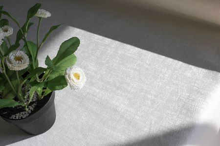 Mantel Antimancha Impermeable Español 1,60 x 3,50 mts Rollo Tela