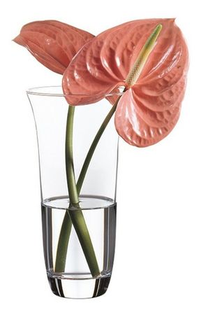 Florero Mix And Match Alegría 21.3 Cm Redondo