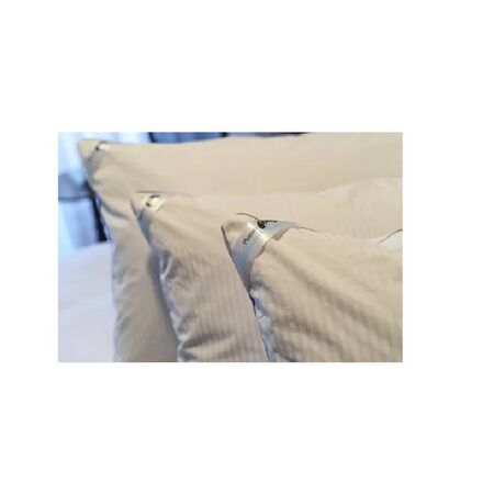 ALMOHADA PADKOVA - 50X70, PLUMA DE GANSO C/DUVET (601)