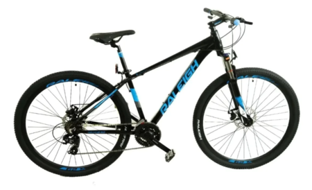 Bicicleta Raleigh 2.0 Rodado 29 17 Negro y Azul