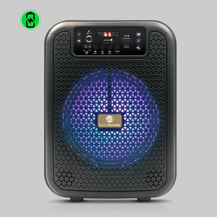 Sistema de audio multimedia - Serie Dorada - Vista 1