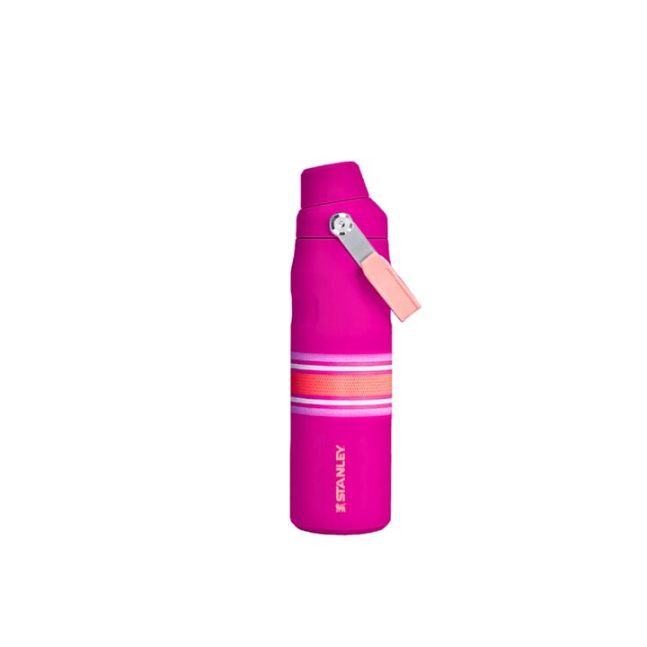 BOTELLA STANLEY FAST FLOW LID 0.71L (C:FUSCHIA MESH ICEFLOW BOTTLE) - Vista 1