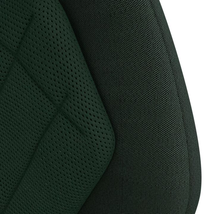 Butaca de seguridad Rodifix Pro 2 i-Size Authentic Green - Vista 8