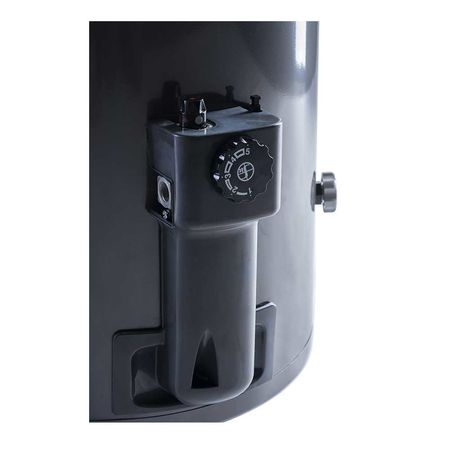 Termotanque a Gas Rheem 120 Lt TGNP120RH Conexión Superior