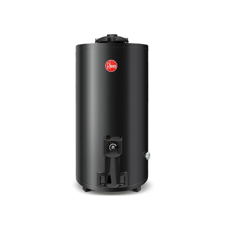 Termotanque Rheem Gas Natural 80L Alta Eficiencia TGNP080RH