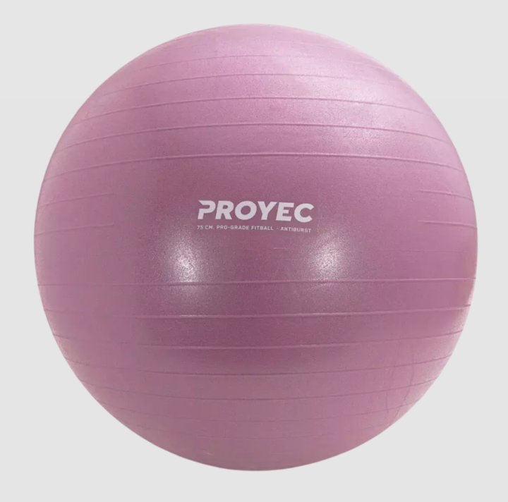 Pelota de Esferodinamia Resistent Proyec 65 cm (000218) - Vista 3