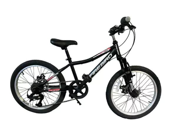Bicicleta Fire Bird Storm - Rodado 20"- Negro - Frenos a disco - 7Vel.-Cuadro de acero. - Vista 1