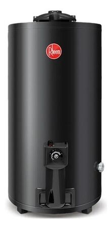 Termotanque Rheem 80 Lts Tgnp080rh Pie Gas Natural C/sup Neg