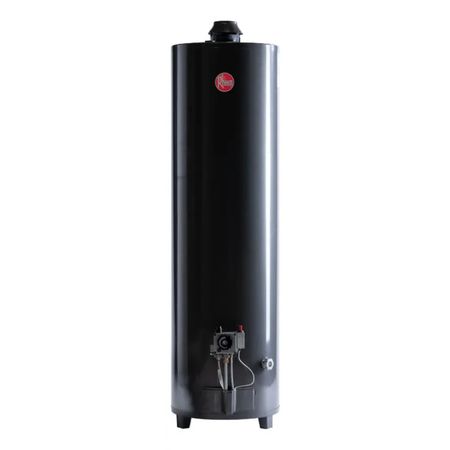 Termotanque De Pie A Gas Rheem Apg160lrh07 De 160l Negro