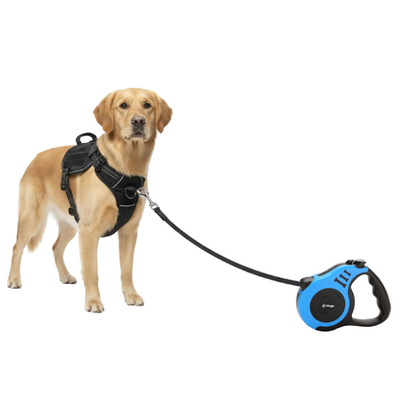 Combo Correa Retráctil S más Arnés Táctico Waggs Paseo Perro Azul