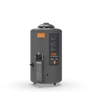TERMOTANQUE EMEGE TAR 310 GAS NATURAL 50 LTS ALTA RECUP. - 4608147