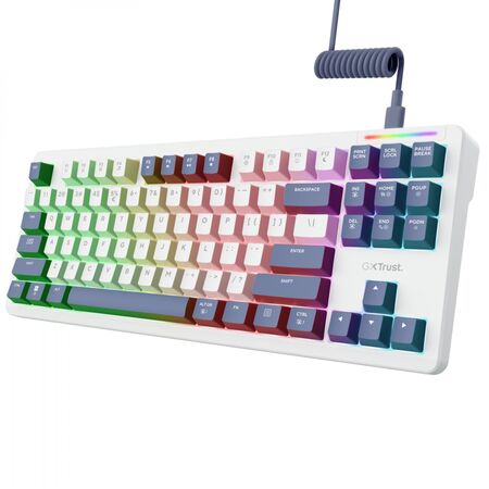 Teclado Gamer Mecanico Gxtrust 872 Xyra TKL Tipo Gasket Qwerty Espanol
